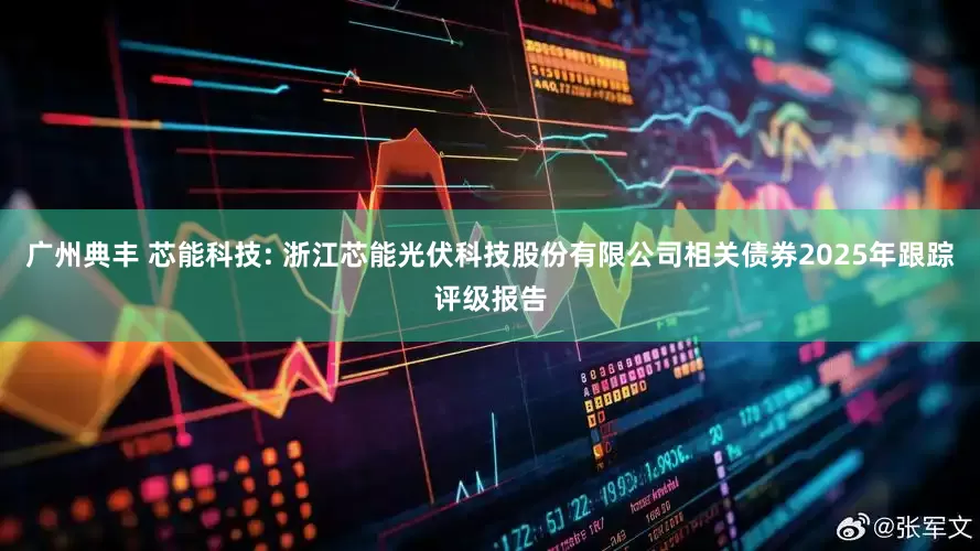 广州典丰 芯能科技: 浙江芯能光伏科技股份有限公司相关债券2025年跟踪评级报告